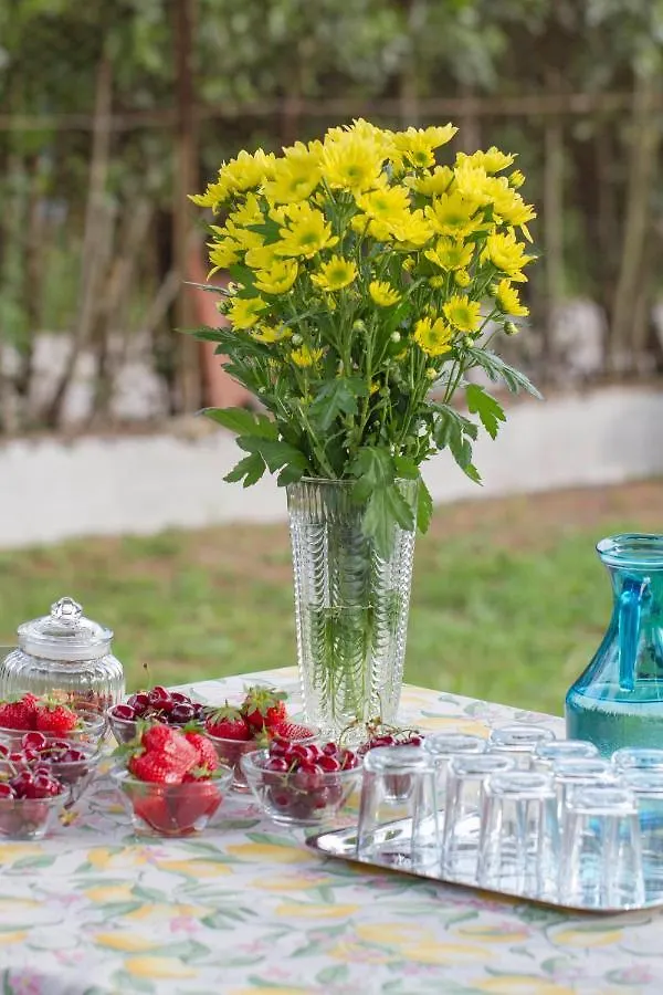*** Bed & Breakfast B&B Palazzi Florence Italy